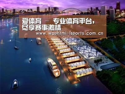 案例展示八